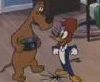 watch woody woodpecker online cartoons classic kids toonjet network