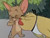 funny videos tom and jerry watch cartoons online free classic classics vintage cartoon