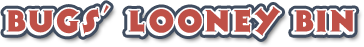 ToonJet Logo