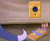 Dog Trouble